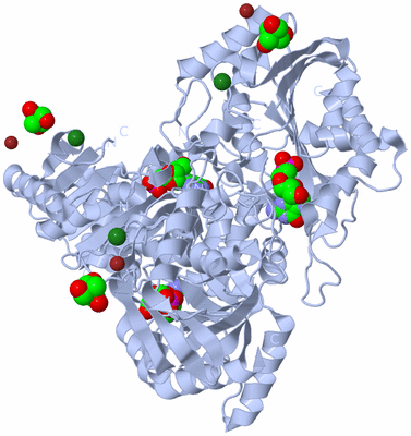 Image Biological Unit 1