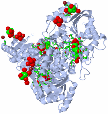 Image Biol. Unit 1 - sites