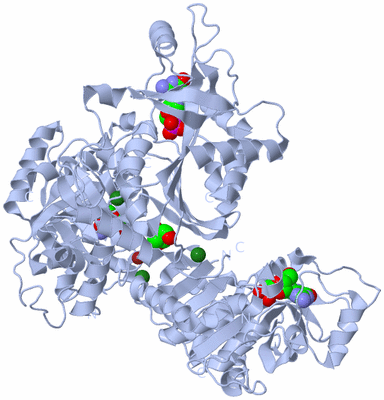 Image Biological Unit 2