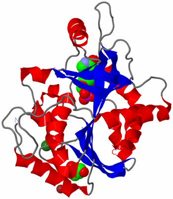 Image Asymmetric Unit