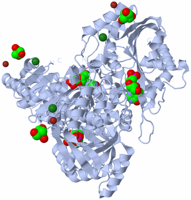 Image Biological Unit 1