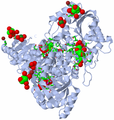 Image Biol. Unit 1 - sites