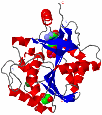 Image Asymmetric Unit