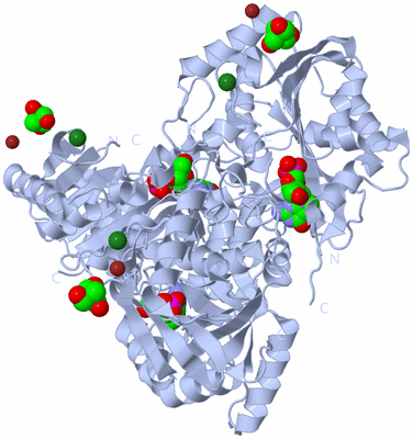 Image Biological Unit 1