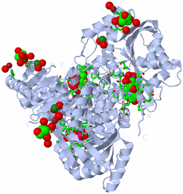 Image Biol. Unit 1 - sites