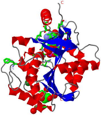Image Asym. Unit - sites