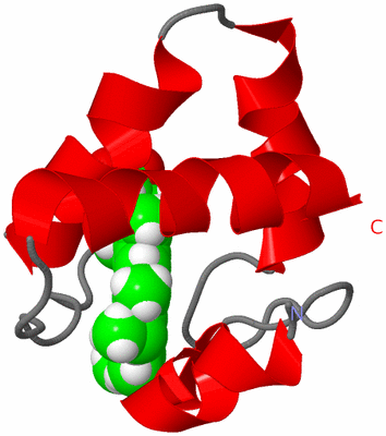 Image NMR Structure - model 1