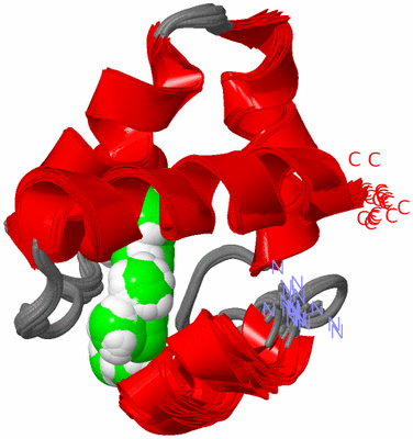 Image NMR Structure - all models