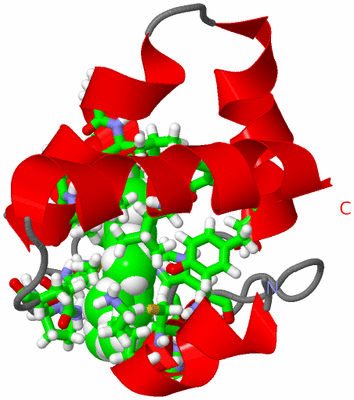 Image NMR Structure - model 1, sites