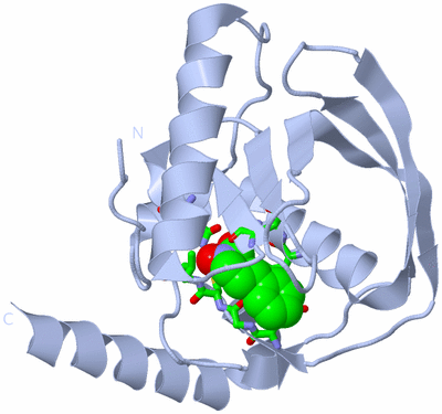 Image Biol. Unit 1 - sites