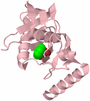 Image Biological Unit 3