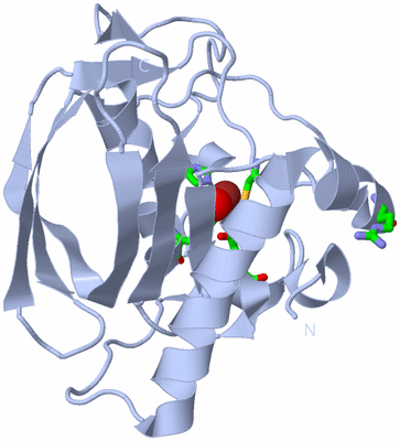 Image Biol. Unit 1 - sites