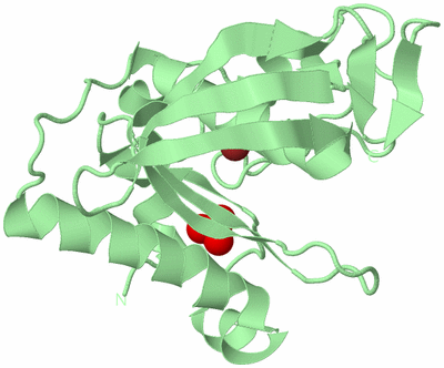 Image Biological Unit 2