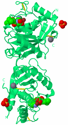 Image Biological Unit 1