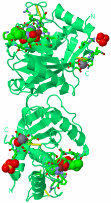 Image Biol. Unit 1 - sites