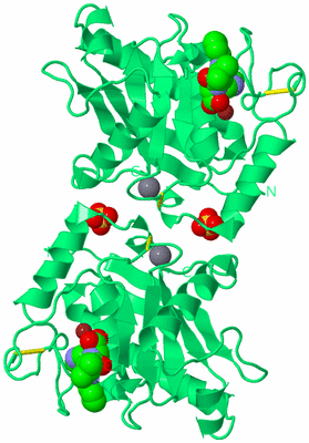 Image Biological Unit 2