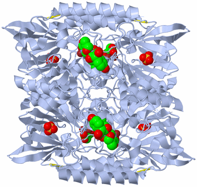 Image Biological Unit 1