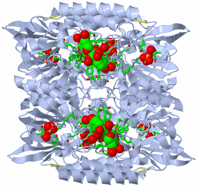 Image Biol. Unit 1 - sites