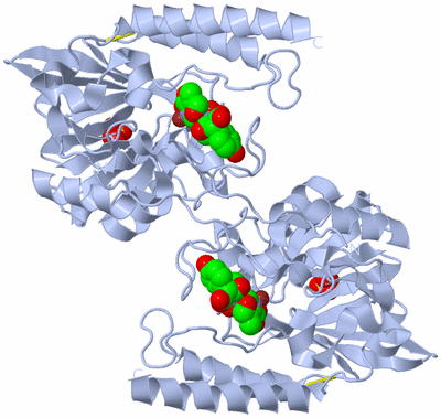 Image Biological Unit 2