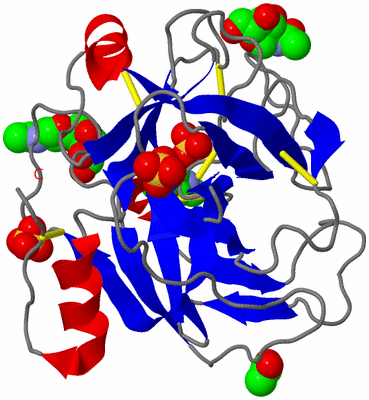 Image Asym./Biol. Unit