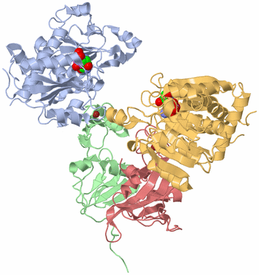 Image Biological Unit 1