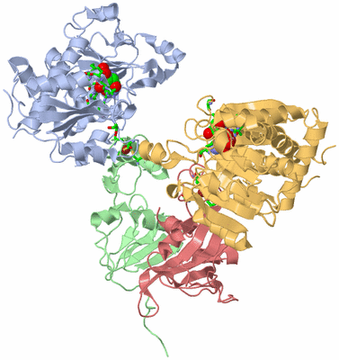 Image Biol. Unit 1 - sites