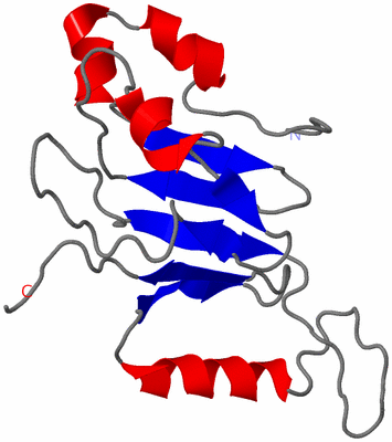 Image NMR Structure - model 1