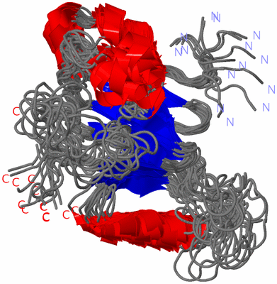 Image NMR Structure - all models