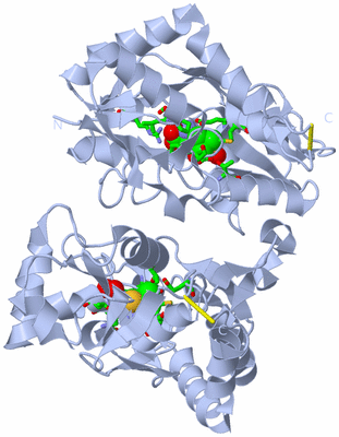 Image Biol. Unit 1 - sites