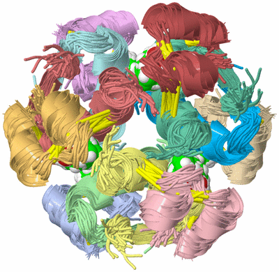 Image NMR Structure - all models