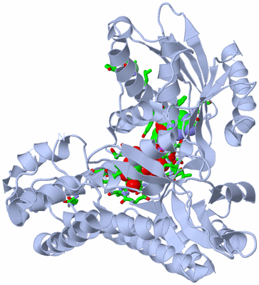 Image Biol. Unit 1 - sites