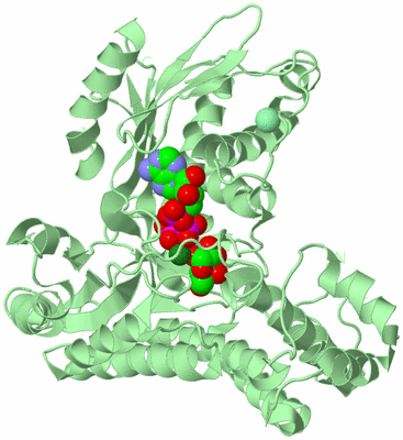 Image Biological Unit 2