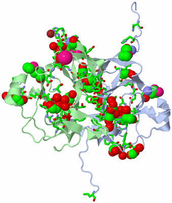 Image Biol. Unit 1 - sites