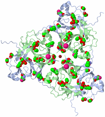 Image Biological Unit 2