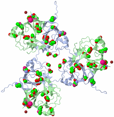 Image Biological Unit 3