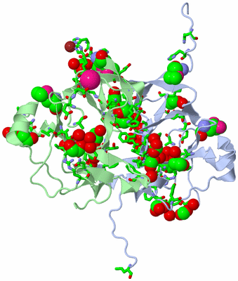 Image Asym. Unit - sites