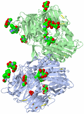 Image Biological Unit 1