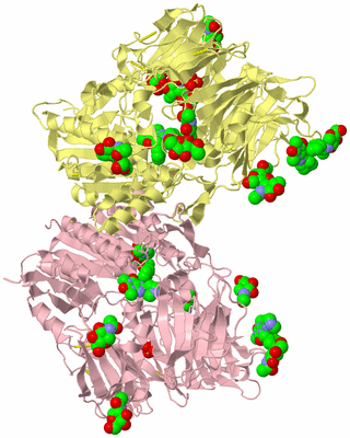 Image Biological Unit 2