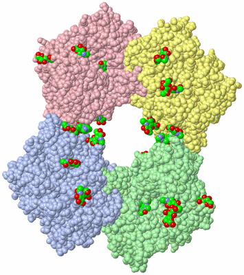 Image Biological Unit 3