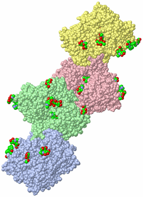 Image Biological Unit 4