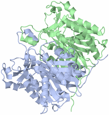 Image Asym./Biol. Unit