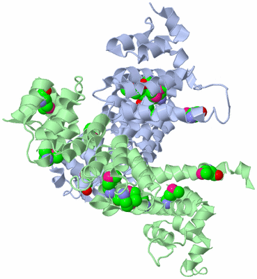Image Asymmetric Unit
