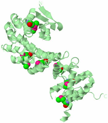 Image Biological Unit 2