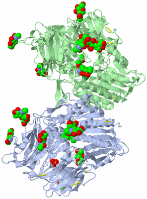 Image Biological Unit 1