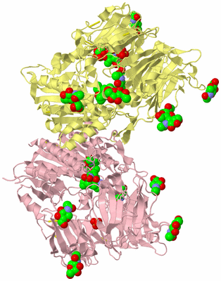 Image Biological Unit 2