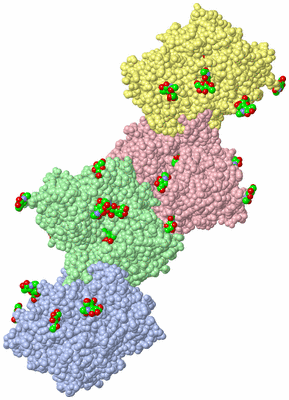 Image Biological Unit 3