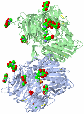 Image Biological Unit 1