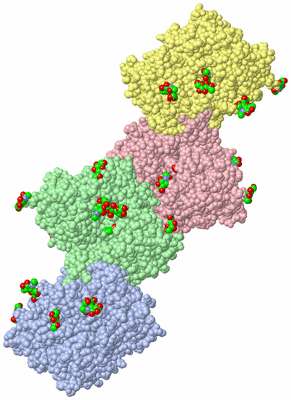 Image Biological Unit 4