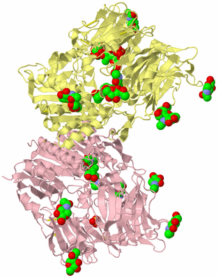 Image Biological Unit 2