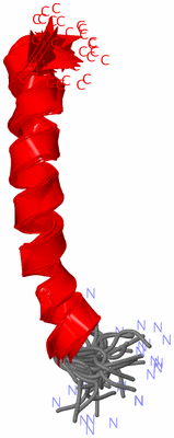 Image NMR Structure - all models